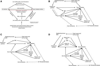 Investigating the role of gut microbiome in the association between ambient air pollution and type-2 diabetes mellitus: a causal inference approach using review of evidence to date